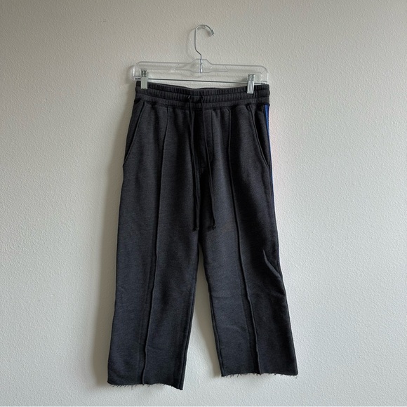 Spiritual Gangster Pants - Spiritual Gangster Cropped Sweatpants Womens Small Gray Pull on Casual Raw Hem